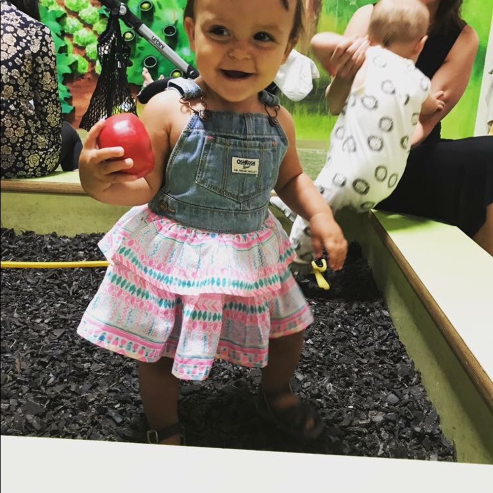 Oshkosh overall dress